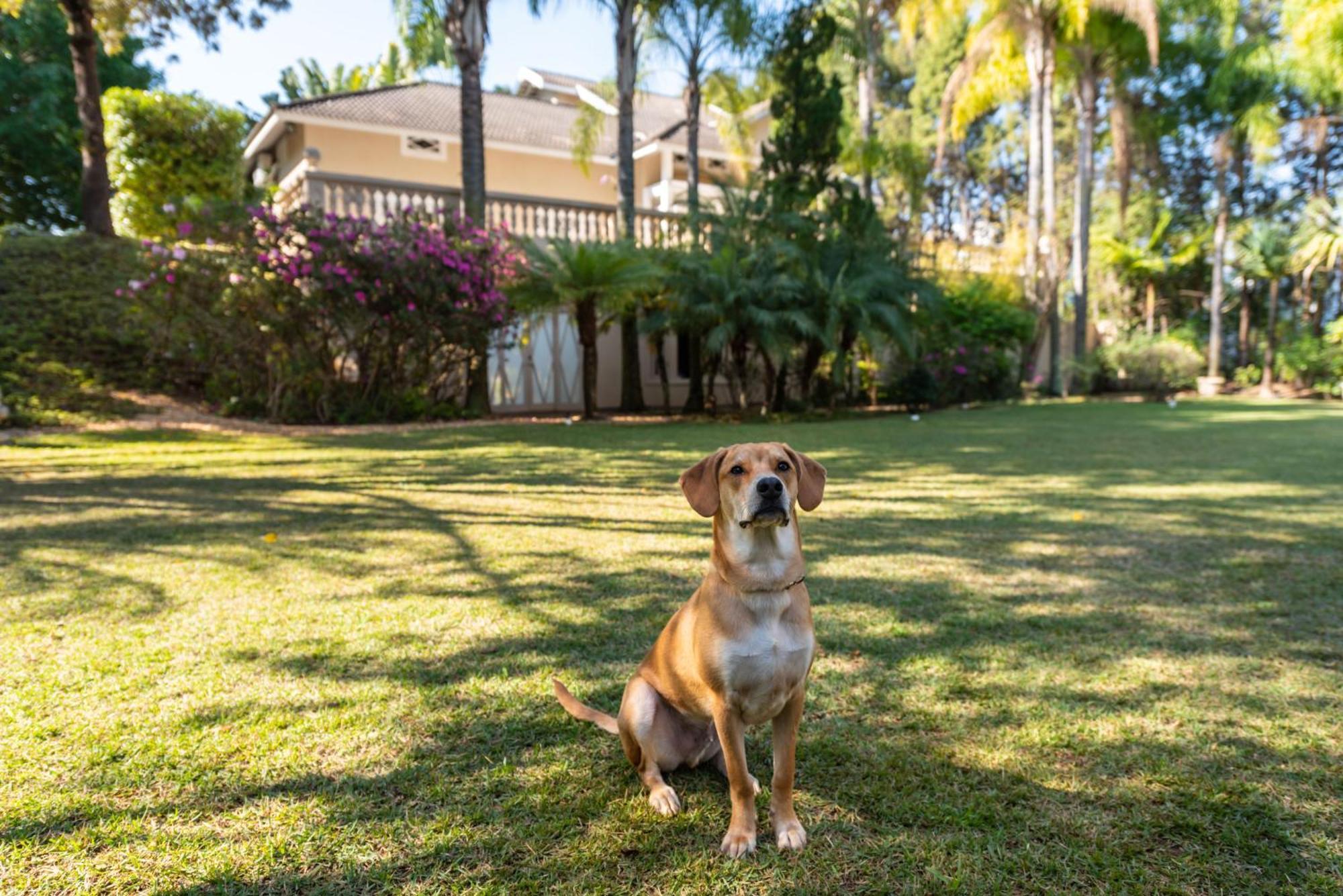 Fazenda Vila Real - Grande E Charmosa Casa De Campo Itu Eksteriør billede