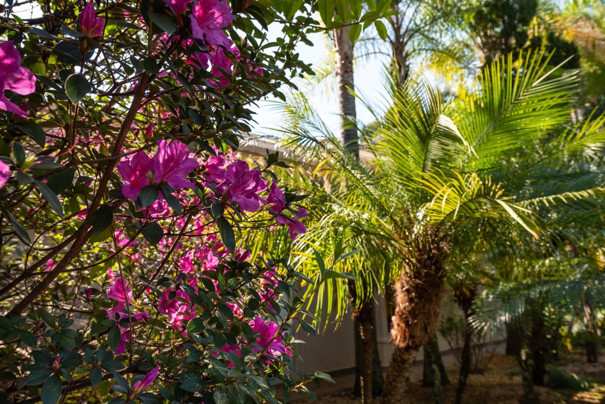 Fazenda Vila Real - Grande E Charmosa Casa De Campo Itu Eksteriør billede